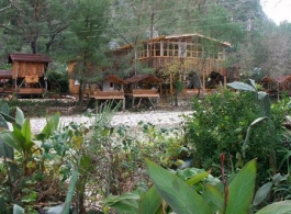 TURKMEN TREE HOUSES
