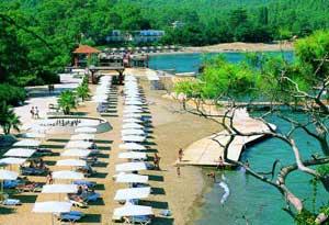 CLUB PHASELIS