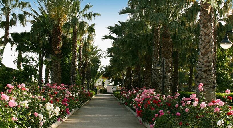 ADORA GOLF RESORT HOTEL