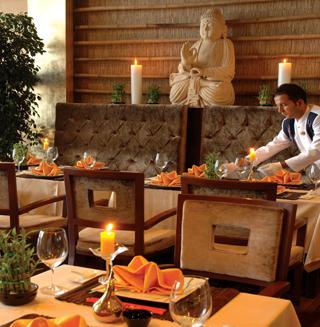 AMARA DOLCE VITA TEKIROVA