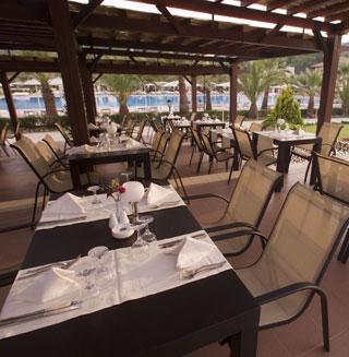 AMARA DOLCE VITA TEKIROVA